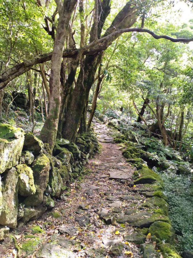 Alojamento Local M&I Lajes das Flores Zewnętrze zdjęcie
